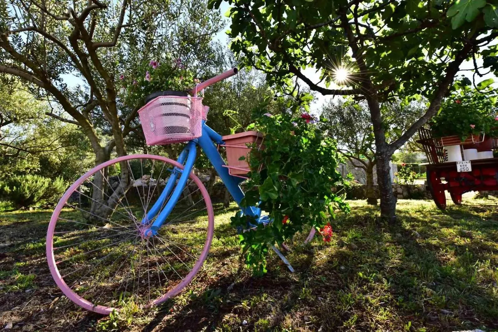 Countryside Studio Apartment Valentina Vrh  0*, Vrh (Krk) Croatia